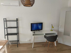 Jolie studio entièrement rénové et climatisé